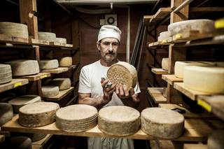 Cheese Makers Spotlight Category Image